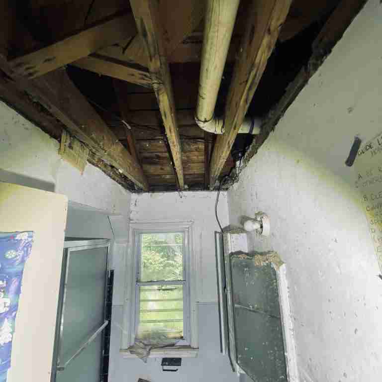 20506 Cardoni (32).jpg